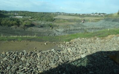 The Clays of Seiont Brickworks Quarry