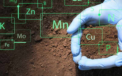 X-ray Mineral Services Finland win tender from GTK