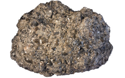 Phosphorites and REEs