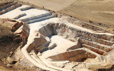 Florida Phosphate Rock