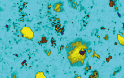 Raman Spectroscopy of Phosphorites