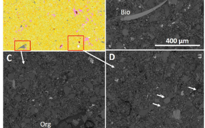Characterisation of metalliferous shale